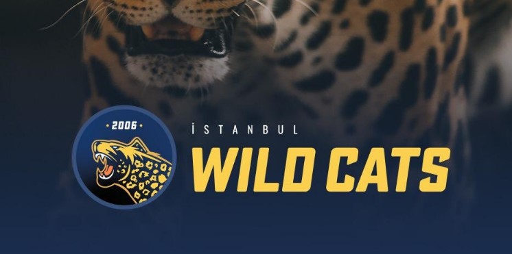 hwa gaming, istanbul wild cats, espor, vfşl
