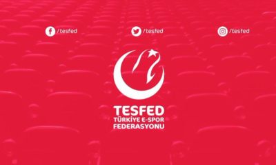 tesfed