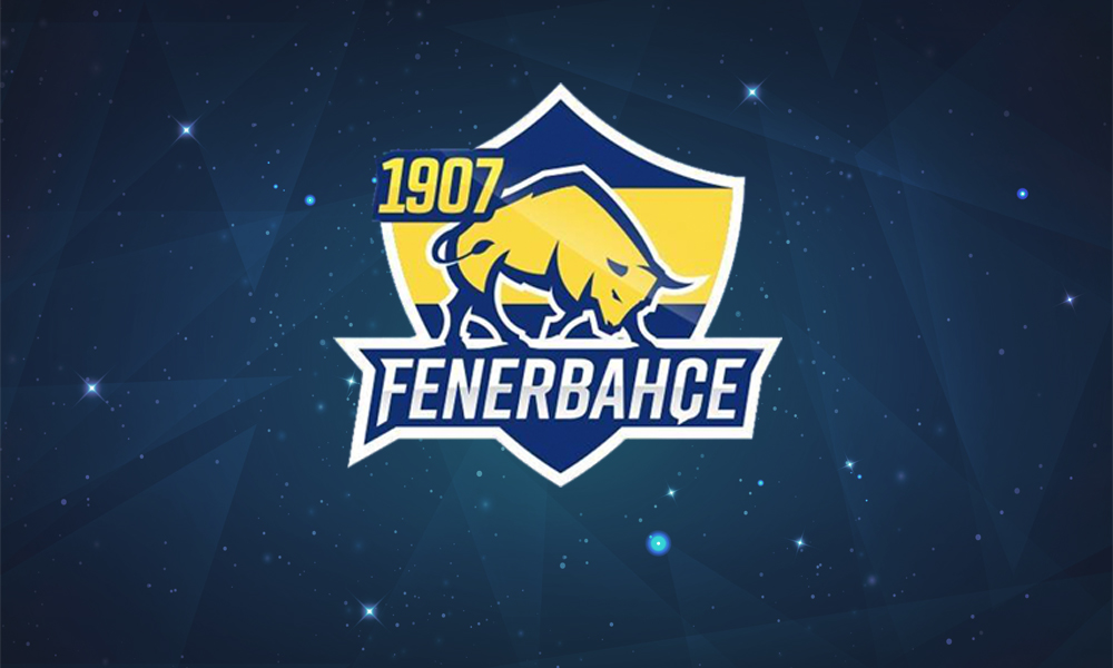 1907 Fenerbahçe Espor