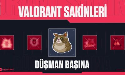 düşman başına