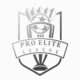 Pro Elite League