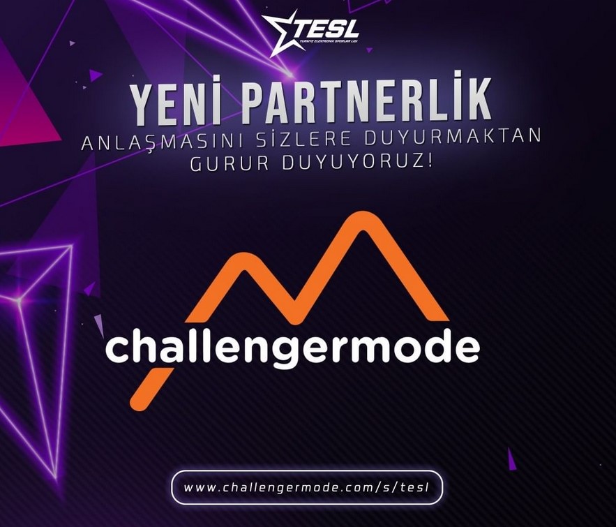 Türkiye Elektronik Sporlar Ligi