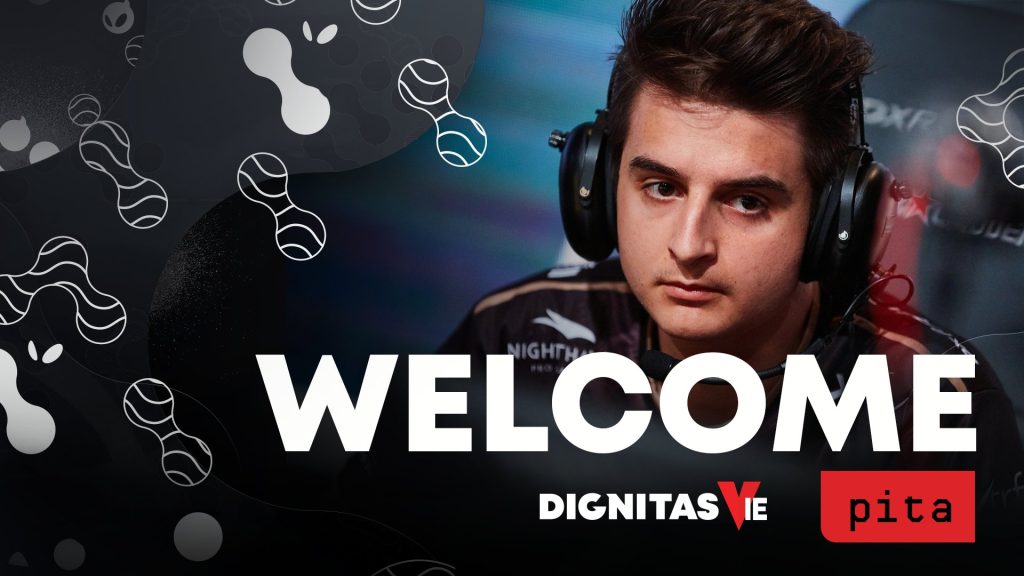 Dignitas pita