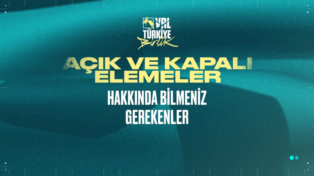 VRL Türkiye Birlik