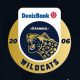 Denizbank İstanbul Wildcats Honor of Kings