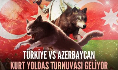 Türkiye ve Azerbaycan Kurt