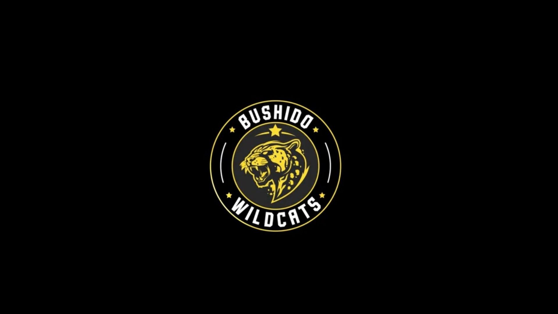 Bushido Wildcats, Şampiyonluk Ligi Kadrosunu Duyurdu!