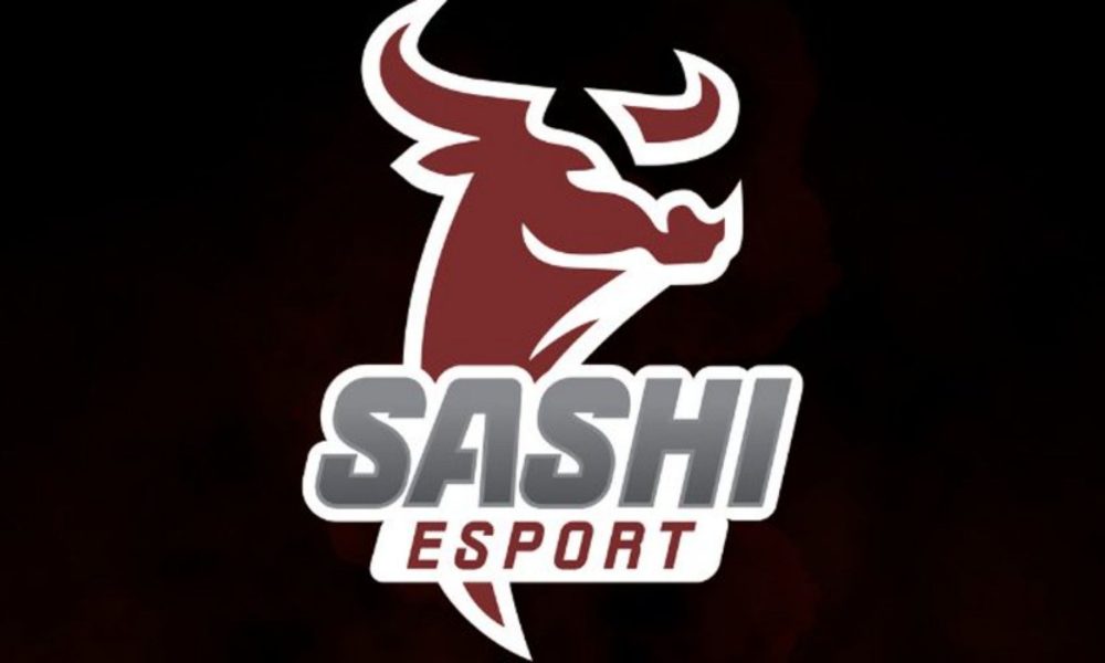 Sashi Academy, POWER Liga 2025 Sezonu İçin Yeni Kadrosunu Tanıttı!