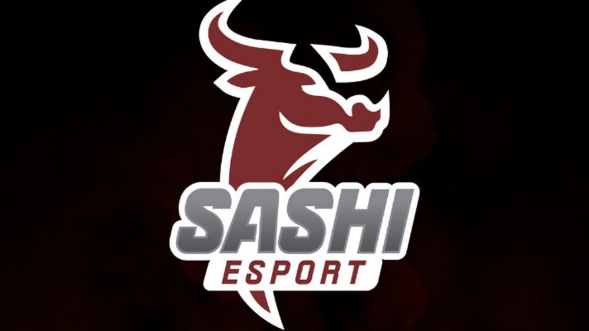 Sashi Academy, POWER Liga 2025 Sezonu İçin Yeni Kadrosunu Tanıttı!