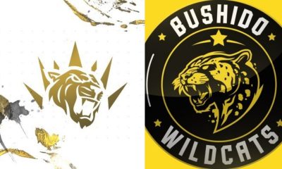 GAMEON Şampiyonluk Ligi'nde Derbi: BBL DP vs. Oyuneks Bushido Wildcats