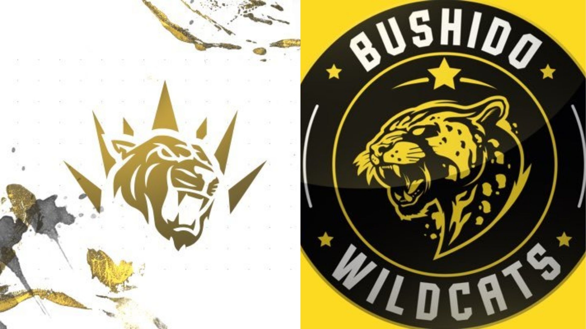 GAMEON Şampiyonluk Ligi'nde Derbi: BBL DP vs. Oyuneks Bushido Wildcats