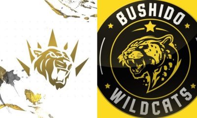 GAMEON Şampiyonluk Ligi 2025 Kış Mevsimi: Bushido Wildcats Rövanşı Aldı!