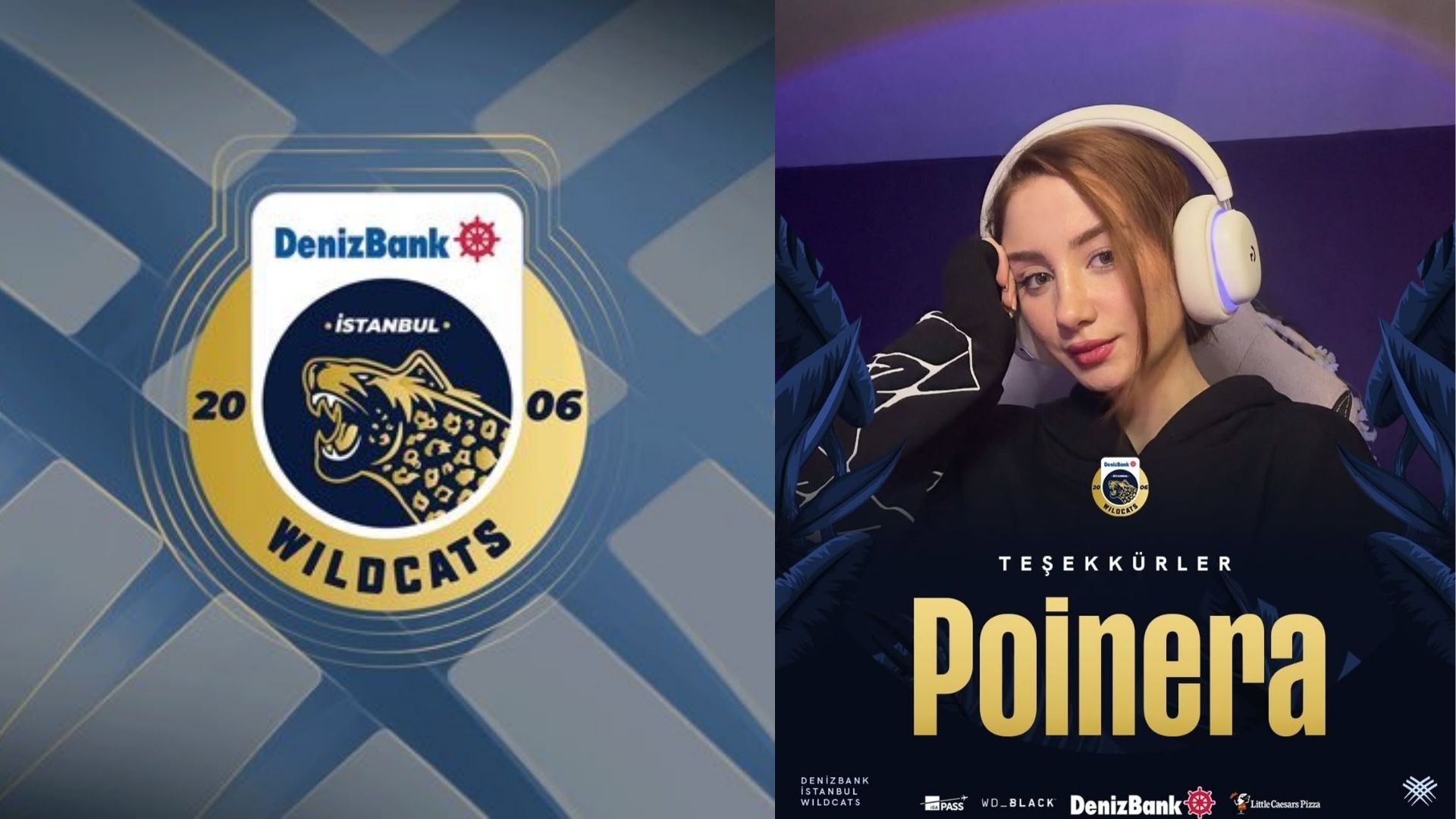 DenizBank İstanbul Wildcats ve Poinera’nın Yolları Ayrıldı!