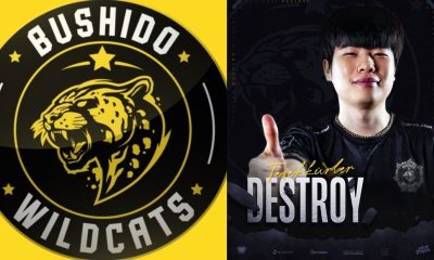 Oyuneks Bushido Wildcats ve DESTROY’un Yolları Ayrıldı!