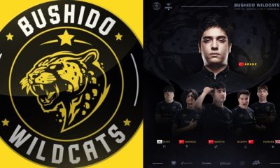 Oyuneks Bushido Wildcats, Yenilenen Kadrosuyla TCL Yaz Mevsimi’ne Hazır!