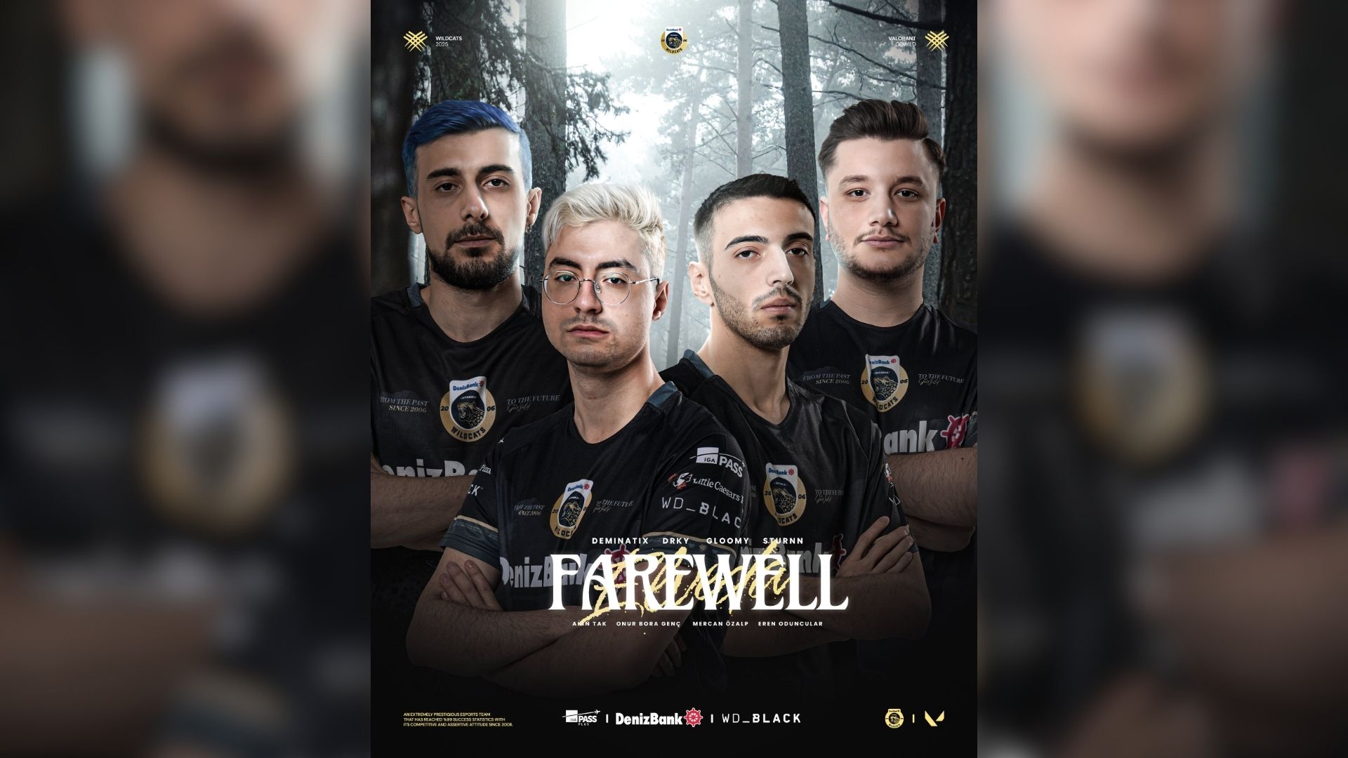 4 oyuncu DenizBank İstanbul Wildcats VALORANT takımına veda etti